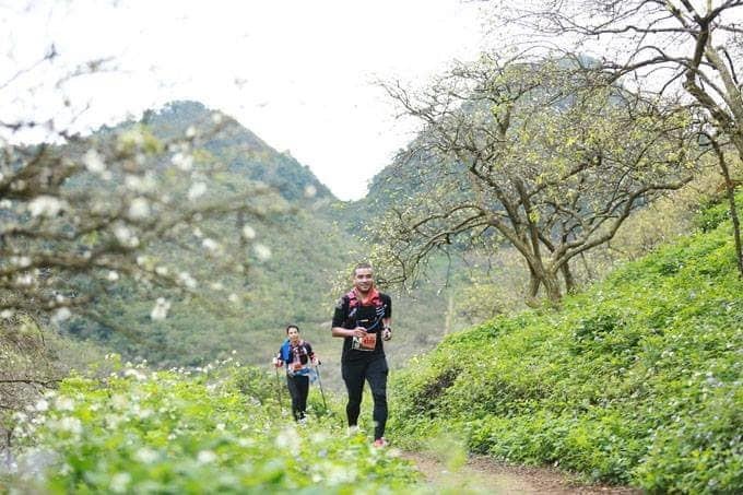 giai chay bo vietnam trail marathon giai chay bo vietnam trail marathon